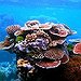 BucketList + Go Snorkeling/Scuba Diving At The ... = ✓