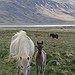 BucketList + Visit Iceland = ✓