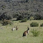 BucketList + Visit Australia = ✓