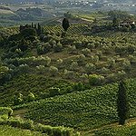 BucketList + Visit Tuscany Italy = ✓