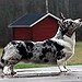 BucketList + Get A Cardigan Welsh Corgi ... = ✓