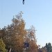 BucketList + Fly A Jet Pack = ✓