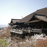BucketList + Go In Japan, Learn Some ... = ✓
