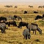BucketList + Visit Africa - And Go ... = ✓