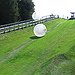 BucketList + Go Zorbing! = ✓