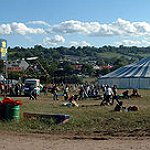 BucketList + Attend Glastonbury Music Festival = ✓