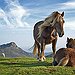 BucketList + Ride A Horse = ✓