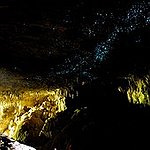 BucketList + Visit The Glowworm Caves In ... = ✓