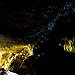 BucketList + Visit The Glowworm Caves In ... = ✓