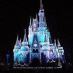 BucketList + Work At Walt Disney World!! = ✓
