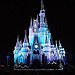 BucketList + Work At Walt Disney World!! = ✓