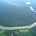 BucketList + Visit A Rainforest = ✓