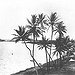 BucketList + Visit Pearl Harbor, Oahu Hawaii = ✓
