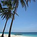 BucketList + See A Palm Tree = ✓