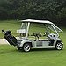 BucketList + Drive A Golf Cart = ✓