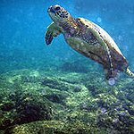 BucketList + See An Ocean = ✓