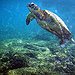 BucketList + See An Ocean = ✓