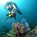 BucketList + To Scuba Dive In Australia = ✓