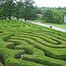 BucketList + Get Through The Longleat Hedge ... = ✓