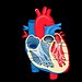 BucketList + Donate My Organs (Healthy) To ... = ✓