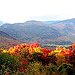 BucketList + Witness Autumn = ✓