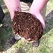 BucketList + Worm Composting = ✓