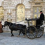 BucketList + Ride A Horse Drawn Carriage ... = ✓