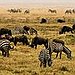 BucketList + Visit Africa - And Go ... = ✓