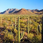 BucketList + Go To Arizona = ✓