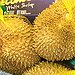BucketList + Try Durian Fruit = ✓