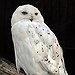 BucketList + Take An Owl Handling Class = ✓