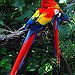 BucketList + Go To Amazon Rainforest = ✓
