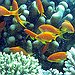 BucketList + Go To Egypt And Scuba ... = ✓