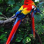 BucketList + Go To Amazon Rainforest = ✓