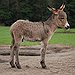 BucketList + Have A Donkey = ✓