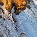 BucketList + Go Fishing In Alaska = ✓