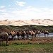 BucketList + Ride Across The Mongolian Steppes = ✓