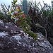 BucketList + Visit Chapada Diamantina National Park, ... = ✓
