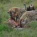 BucketList + Go To Africa = ✓