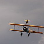 BucketList + Wing Walking = ✓