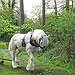 BucketList + Ride A Horse-Drawn Carriage = ✓