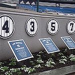 BucketList + Ball Game At Yankee Stadium = ✓