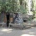 BucketList + Visit Sequoia National Park = ✓