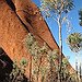 BucketList + Visit Uluru = ✓