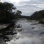 BucketList + Go To Cumberland Island = ✓