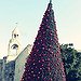 BucketList + See The Christmas Tree Lighting ... = ✓