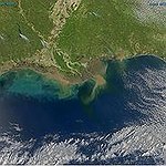 BucketList + Swim In The Gulf Of ... = ✓