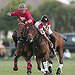 BucketList + Play Polo = ✓