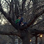 BucketList + Treeclimb = ✓