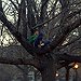 BucketList + Treeclimb = ✓
